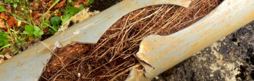 Commercial Sewer Cleaning in Phoenix, AZ